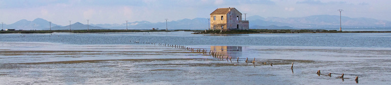 San Pedro del Pinatar